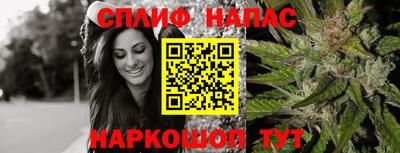 спайс Гай