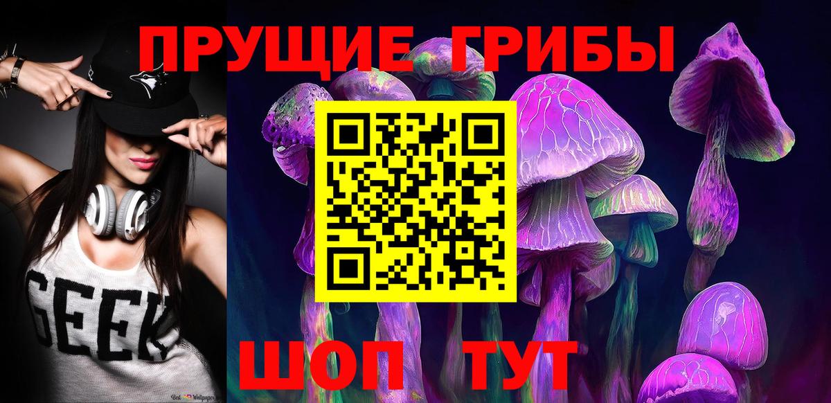 Псилоцибиновые грибы GOLDEN TEACHER  Псилоцибиновые грибы GOLDEN TEACHER  Вход с VPN  Новороссийск 
